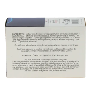 Kinesafort Articulations Gél B/60