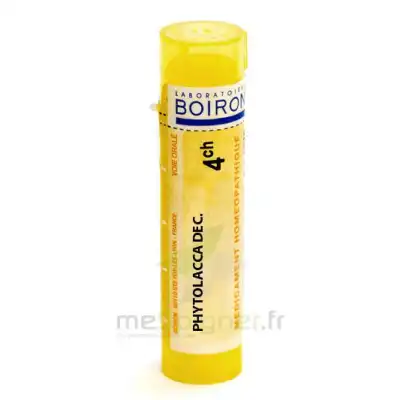 Boiron Phytolacca Decandra 4ch    Granules Tube De 4g à RUMILLY