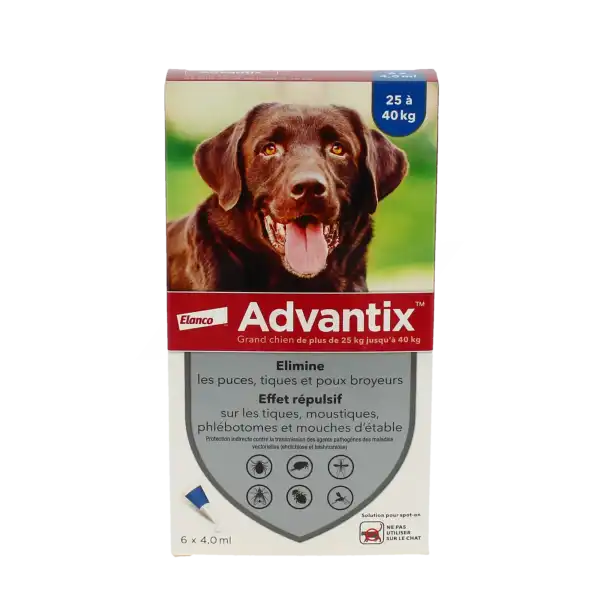 Advantix Grand Chien, Solution Pour Spot-on