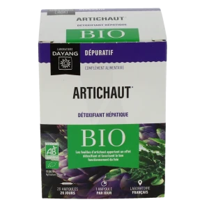 Dayang Artichaut Bio 20 Ampoules