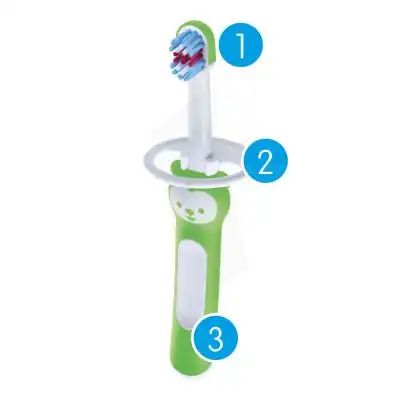 Mam Brosse à Dents Premières Dents
