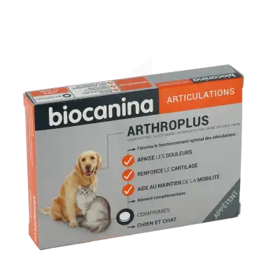 Biocanina Arthroplus Comprimés B/40 à VIC-FEZENSAC
