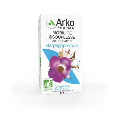 Arkogelules Harpagophytum Bio GÉl Fl/45 à Les Arcs