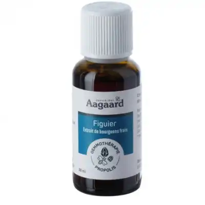 Aagaard Figuier Macérat Unitaire 30ml à BARCARÈS (LE)