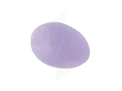 Sissel Oeuf à Malaxer Bleu Moyen Boîte De 1 à PARON