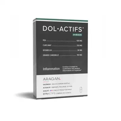 Aragan Synactifs Dolactifs Gélules B/20 à Forbach