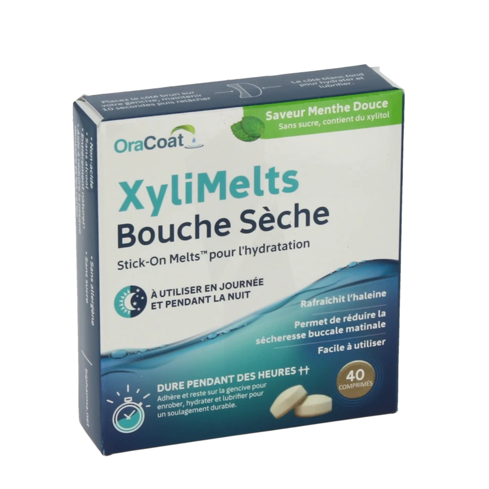 Xylimelts Past Adhésive Menthe Douce B/40