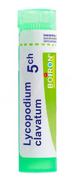 Boiron Lycopodium Clavatum 5ch Granules Tube De 4g