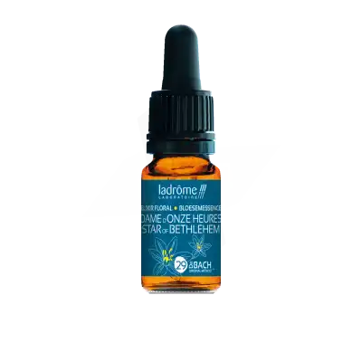 Ladrôme Elixir Floral 29 Dame D'onze Heures 10ml à BOURG-SAINT-MAURICE