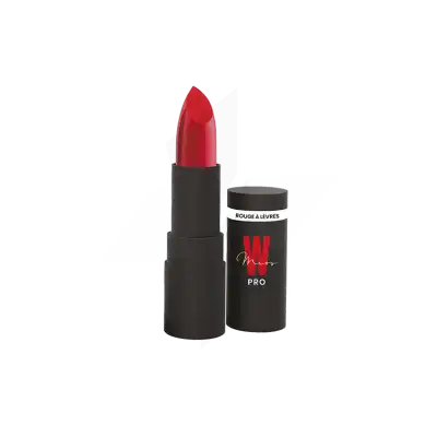 Miss W Pro Rouge à Lèvres Mat N°132 Rouge Groseille 3,5g à TOUCY
