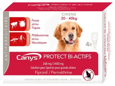 Canys Protect Chien L (20-40kg) Sol Ext Plaq/4 à Hagetmau