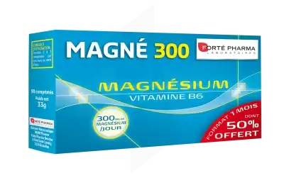 MAGNÉ 300 MAGNÉSIUM VITAMINE B6 CPR B/90