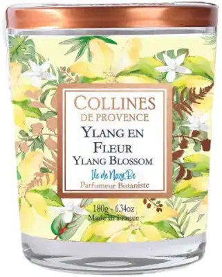 Collines de Provence Bougie Parfumée Ylang en Fleur 180g