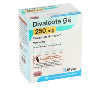 Divalcote 250 Mg, Comprimé Gastro-résistant