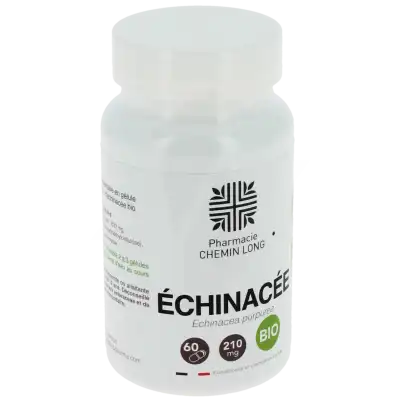 L'herbothicaire Echinacea Bio Gélules B/60 à Mérignac