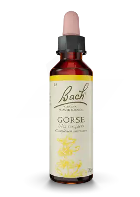 Fleurs De Bach® Original Gorse - 20 Ml