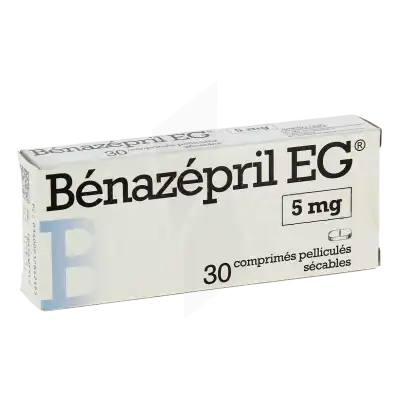 Benazepril Eg 5 Mg, Comprimé Pelliculé Sécable à MONTEREAU-FAULT-YONNE