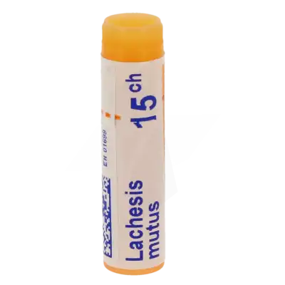 Boiron Lachesis Mutus 15ch Globules Dose De 1g à Angers
