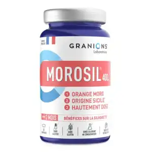 Granions Morosil 400mg Comprimés B/60 à Saint Sorlin en Valloire