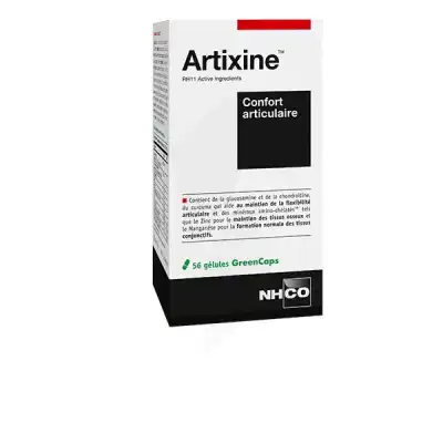 Nhco Nutrition Aminoscience Artixine Gélules Souplesse Confort Articulaire 2b/60 à Hendaye