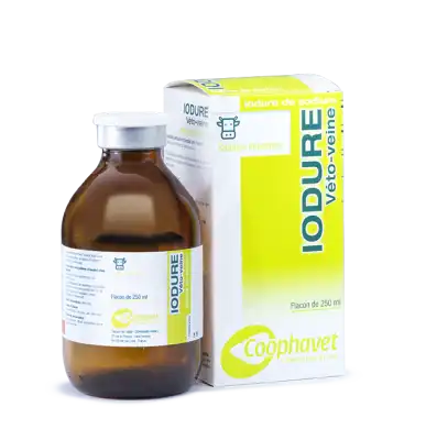 Iodure Veto-veine, Solution Injectable à MONTAIGUT-SUR-SAVE