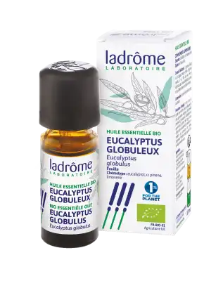 Ladrôme Huile Essentielle Eucalyptus Globuleux Feuille 10ml à SAINT MARCEL
