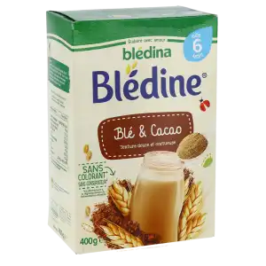 Blédina Blédine Céréales Instantanées Cacao 2ème âge B/400g à ALBERTVILLE