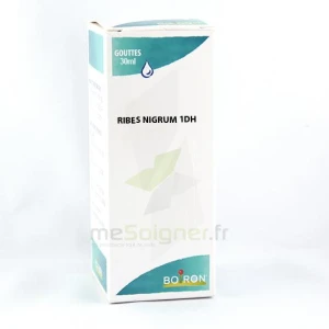 Ribes Nigrum 1dh Flacon 30ml