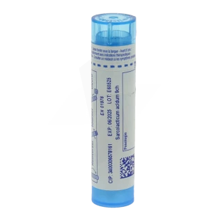 Boiron Sarcolacticum Acidum 9ch Granules Tube De 4g