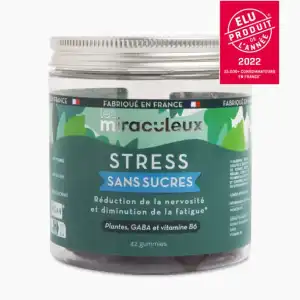 Acheter Les miraculeux Gummies Stress sans sucre Gommes Pot/42 à DIJON