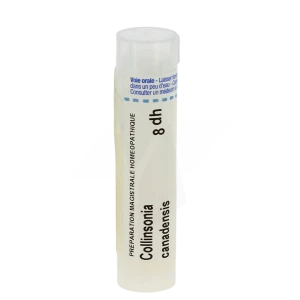 Boiron Collinsonia Canadensis 8dh Granules Tube De 4g