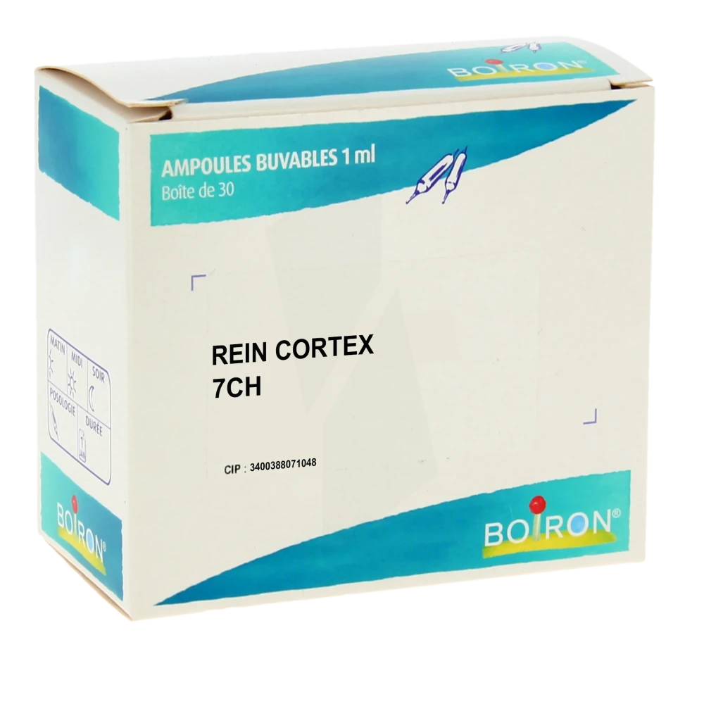 Boiron Rein Cortex 7ch Solution Buvable En Ampoules Eau Boîte De 30 Ampoules