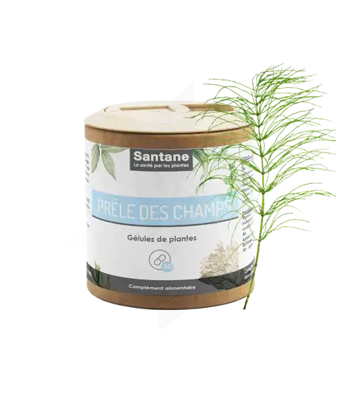 Santane Prêle Des Champs Gélules De Poudre De Plantes 200mg B/60