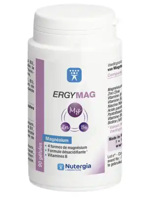 Ergymag Magnésium Vitamines B Gélules B/90 à AMBARÈS-ET-LAGRAVE