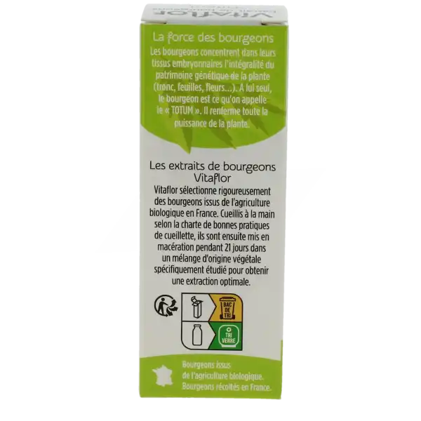 Bourgeons Tilleul Vitaflor Bio, Fl 15 Ml