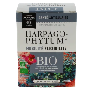 Dayang Harpagophytum Bio 20 Ampoules