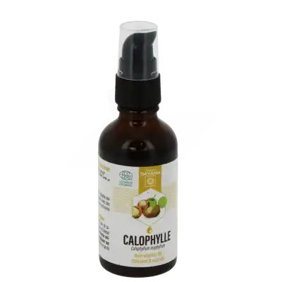 Dayang Huile Végétale Calophylle Bio 50ml à Aubervilliers