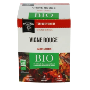 Dayang Vigne Rouge Bio 20 Ampoules