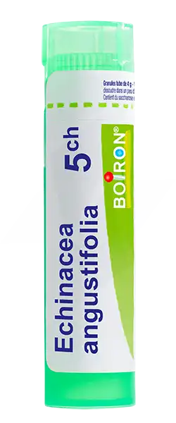 Boiron Echinacea Angustifolia 5ch Granules Tube De 4g