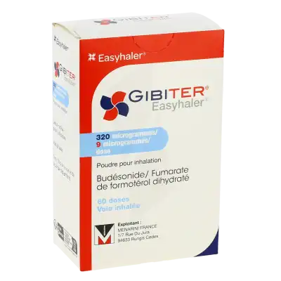 Gibiter Easyhaler, 320 Microgrammes/9 Microgrammes/dose, Poudre Pour Inhalation à Bassens