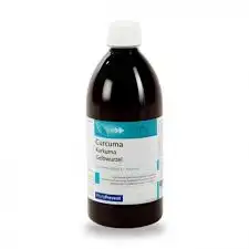 Eps Phytostandard Curcuma Extrait Fluide Fl/500ml à SAINT-ROMAIN-DE-COLBOSC