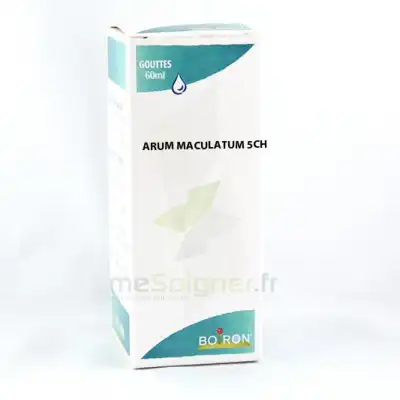 Boiron Arum Maculatum 5ch Flacon 60ml à SENNECEY-LÈS-DIJON