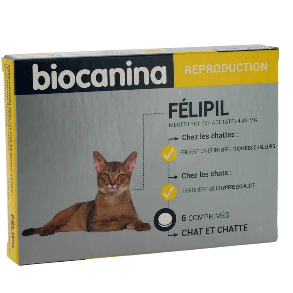 Felipil, Comprimé