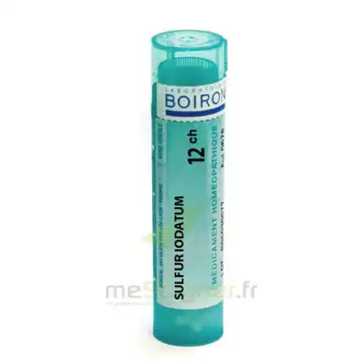 Boiron Sulfur Iodatum 12ch Granules Tube De 4g à Bordeaux