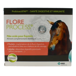 Flore Process Cheval Pâte Orale 5ser/20ml