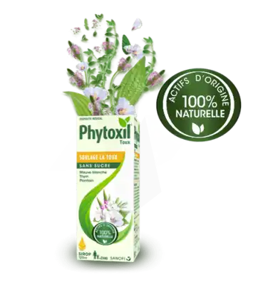 Phytoxil Toux Sans Sucre Sirop Adulte Enfant +2 Ans Fl/120ml à Drocourt