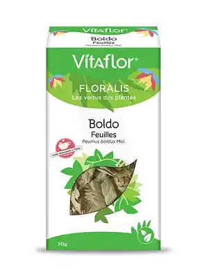 Vitaflor Boldo Tis B/70g à SAINT-PRYVÉ-SAINT-MESMIN