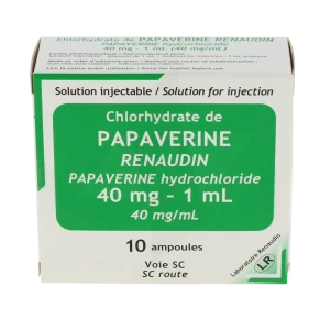 Papaverine Renaudin 40 Mg/ml, Solution Injectable