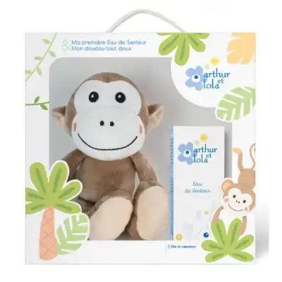 Arthur Et Lola Coffret Singe + Eds à Genas