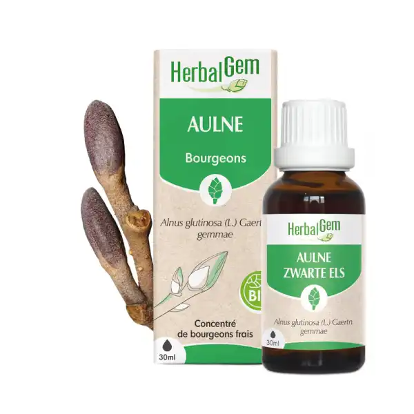 Herbalgem Aulne Macérat Bio Fl Cpte-gttes/30ml
